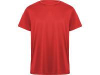 Спортивная футболка Daytona мужская