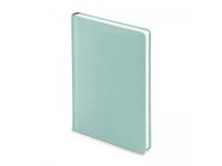 Ежедневник недатированный А5 Velvet