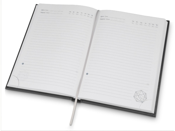 Ежедневник недатированный А5 Probe AR, черный