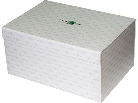 Часы Принц Аквитании, серебристый/золотистый