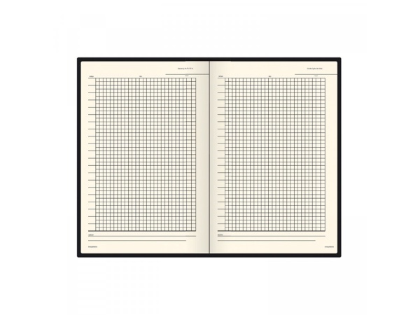 Ежедневник недатированный А5 Madrid