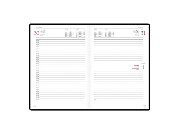 Ежедневник А5 датированный Velvet на 2024 год