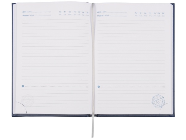 Ежедневник недатированный А5 Probe AR
