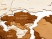 Интерьерная карта мира World
