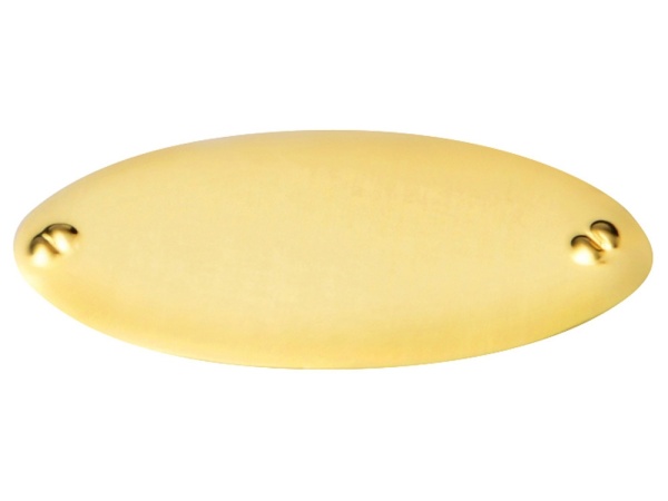 Шильд Золото