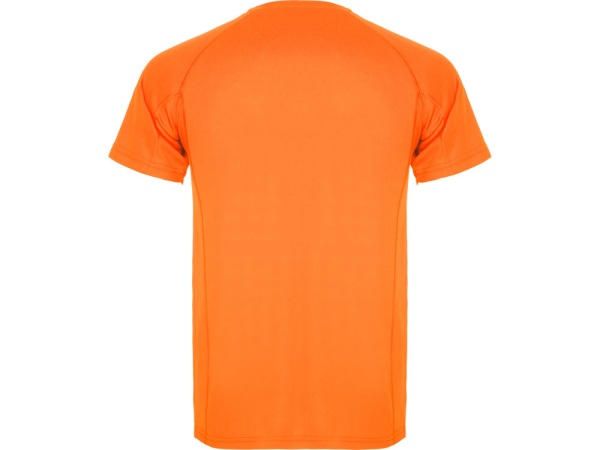 Спортивная футболка MONTECARLO мужская