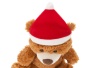 Плюшевый медведь Santa