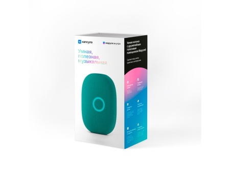 Умная колонка VK Капсула с голосовым помощником Марусей