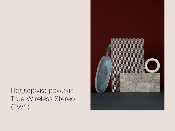 Портативная колонка Mysound Onyx 3C